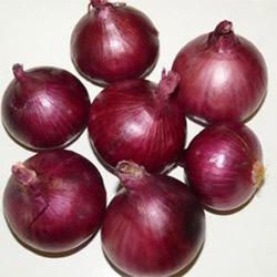 Fresh Red Onion 02