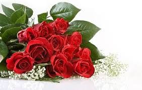 Red Rose Flowers 01