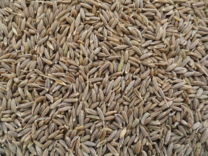 Cumin Seeds 01