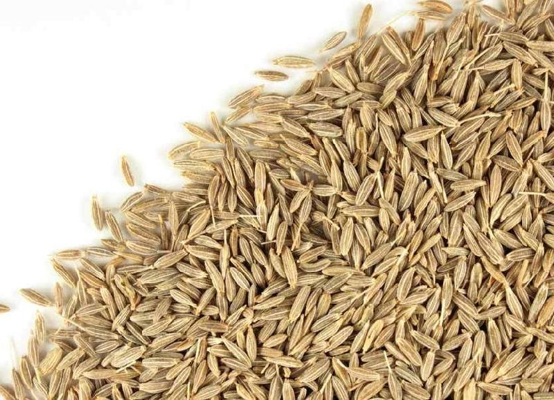 Cumin Seeds 02