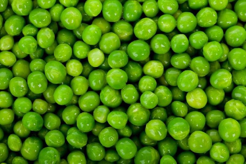 Green Mung Bean 03