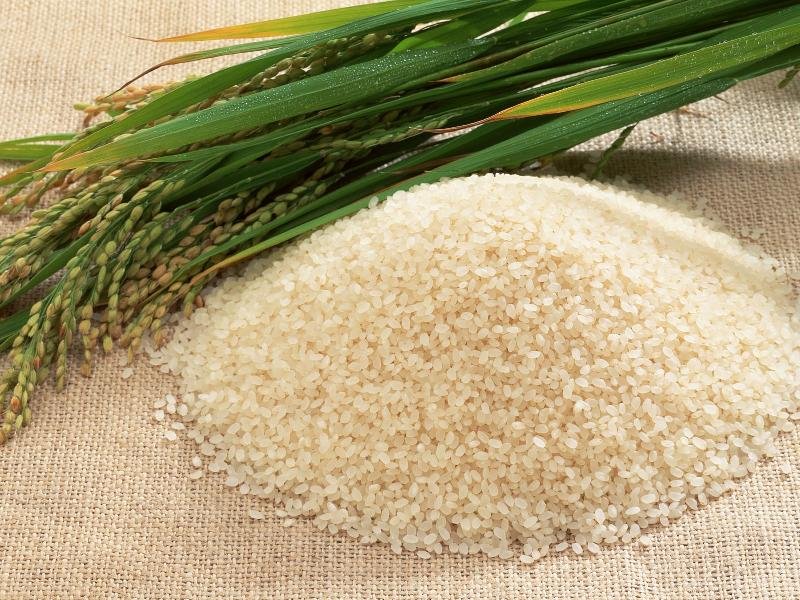 Indian Rice 01