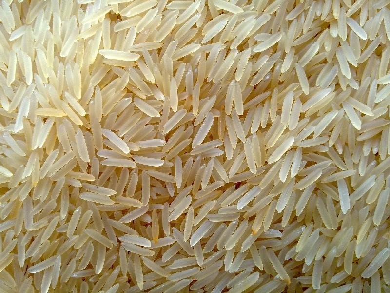 Indian Rice 03