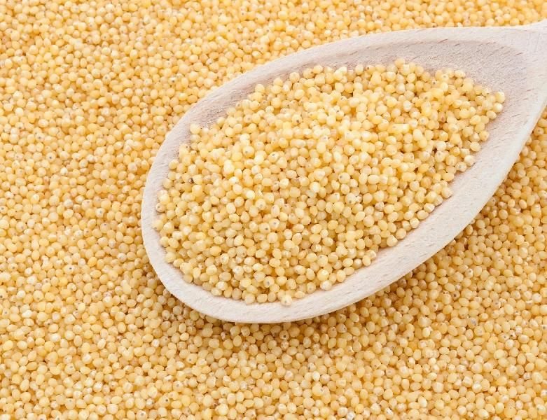 Millet Seeds 02