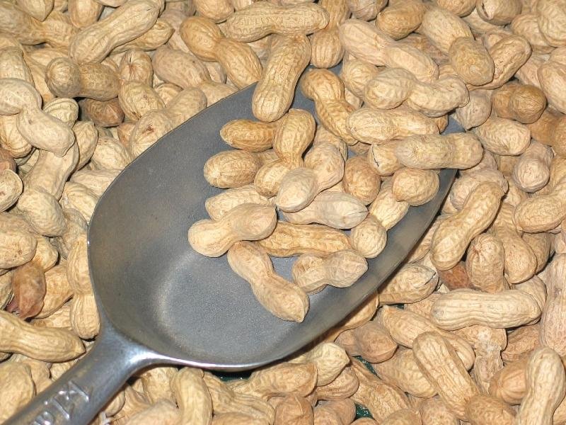 Shelled Groundnuts 01