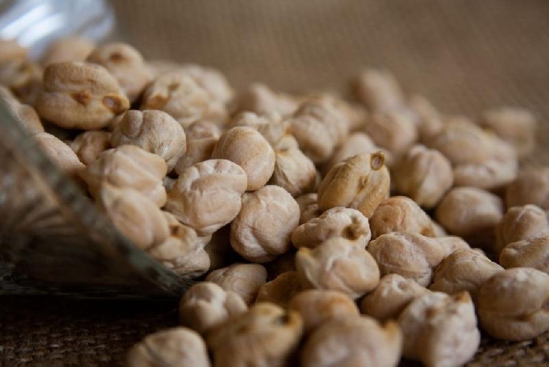 White Chickpea 02