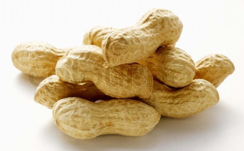 groundnut shell