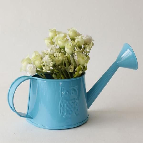 Garden Watering Can 01