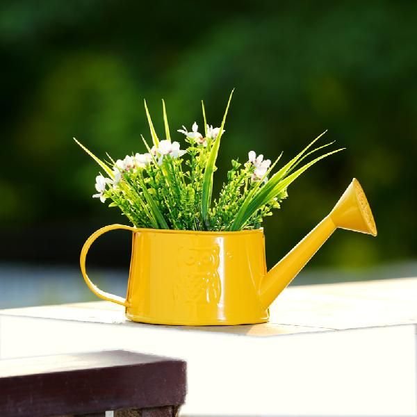 Garden Watering Can 03