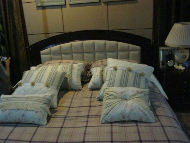 RDB-234 Designer Sofa Cum Bed with side table