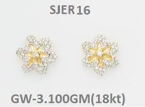 Earring (SJER16)