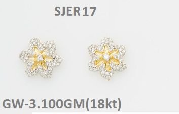 Earring (SJER17)
