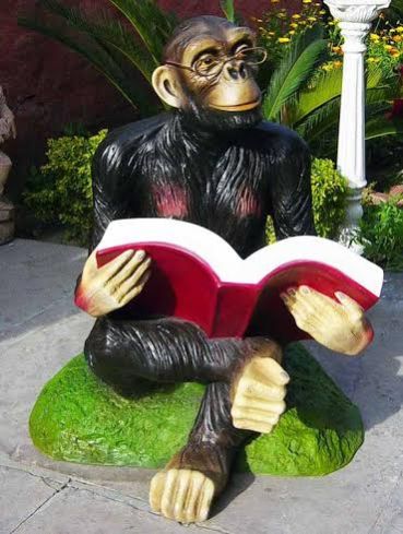 Chimpanzee with Book