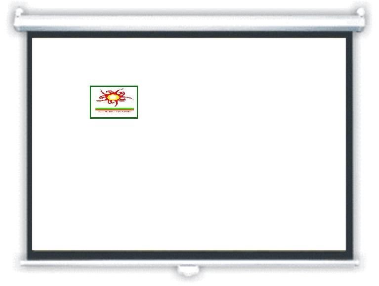 Whiteboard Screen 05