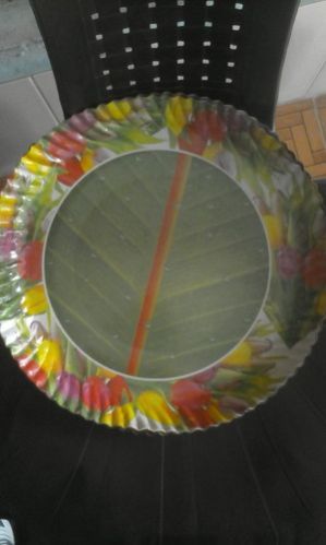 Coloured Disposable Plate 01