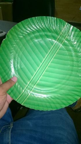 Coloured Disposable Plate 03