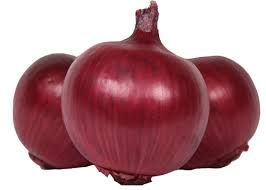 Red Onion 04