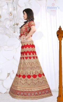 Designer Lehenga Choli 01