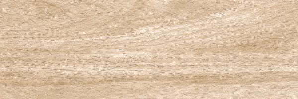 200 X 600 mm Digital Wall Tile (1626DK)