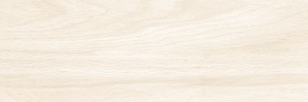 200 X 600 mm Digital Wall Tile (1626LT)