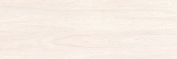 200 X 600 mm Digital Wall Tile (1742LT)