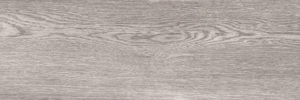 200 X 600 mm Digital Wall Tile (1915DK)