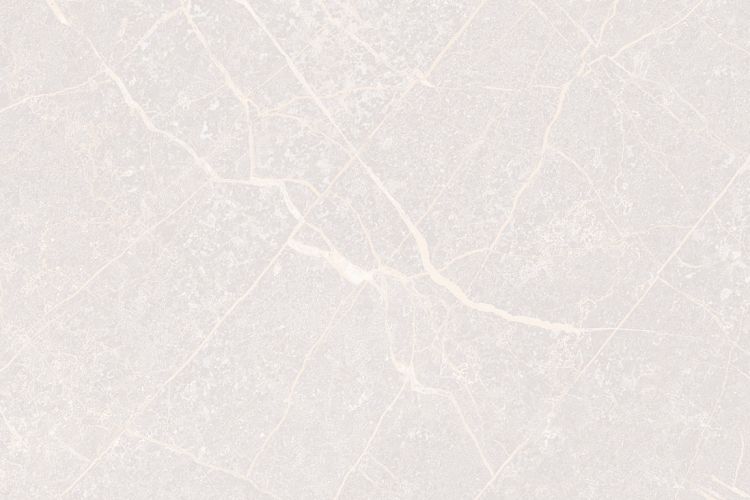 300 X 450 mm Kitchen Digital Wall Tile (1020 L1)