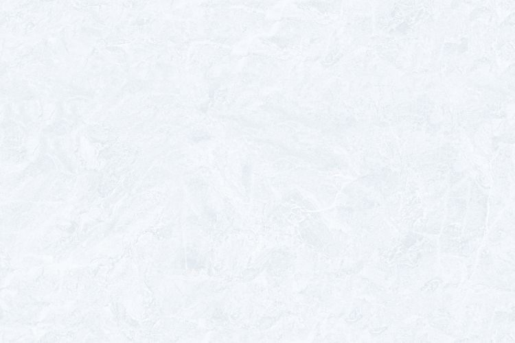 300 X 450 mm Kitchen Digital Wall Tile (1022 L)