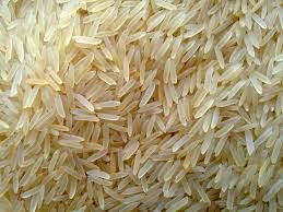 Indian Rice 03