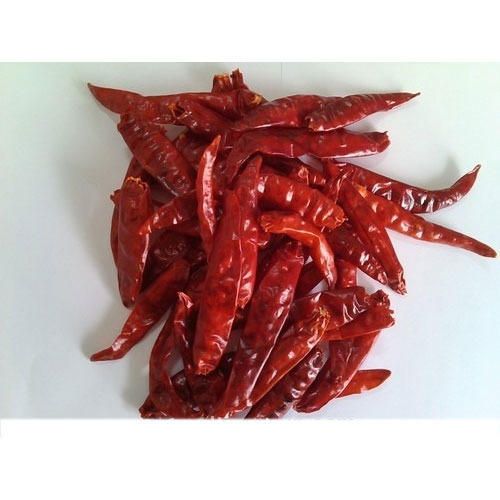 Dried Red Chilli 04