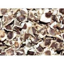 Moringa Seeds 01