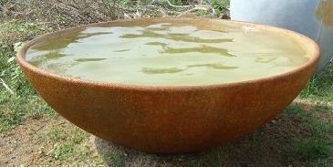 Bowl Shaped Medium Planters 03