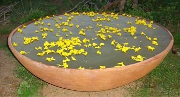 Bowl Shaped Medium Planters 04