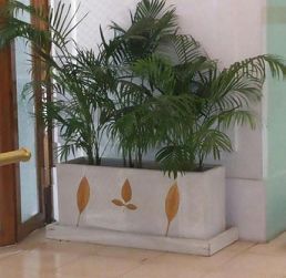 Rectangle Shaped Planters 06