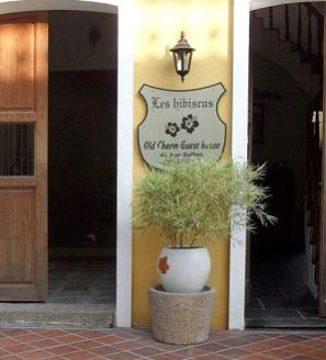 Round Shaped Small Planters 03