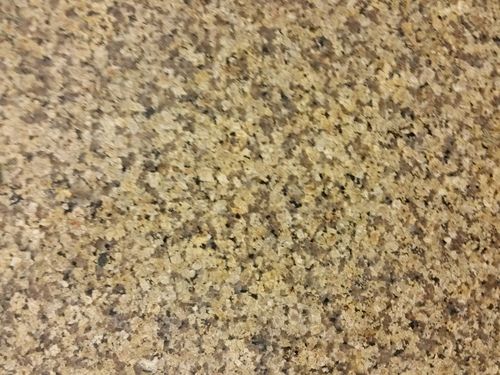 Royal Cream Granite Slab