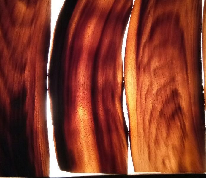 Buffalo Horn Plate 09