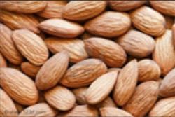 Almond Kernels 02