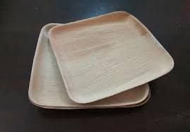 Areca Leaf Square Plates