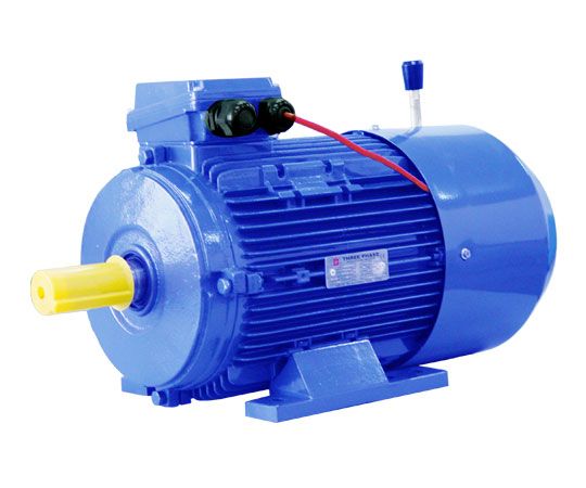 Three Phase Electric Motor 01