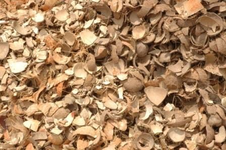 Coconut Shell Chip 01