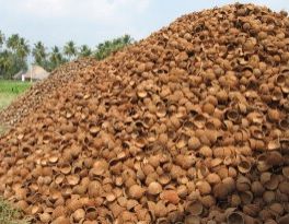 Coconut Shell Chip 04