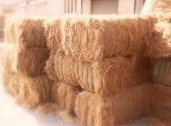 Coir Fibre 02
