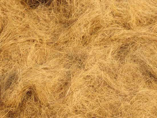 Coir Fibre 03