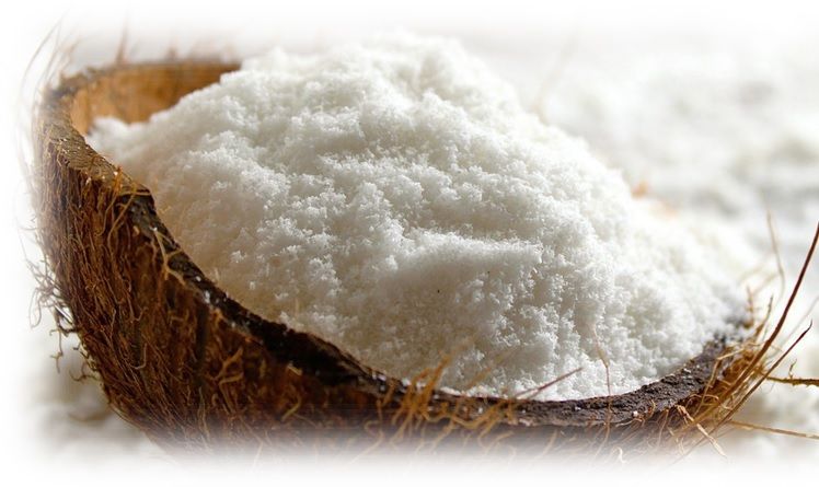 Desiccated Coconut Powder 01