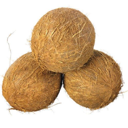 Raw Coconut 02