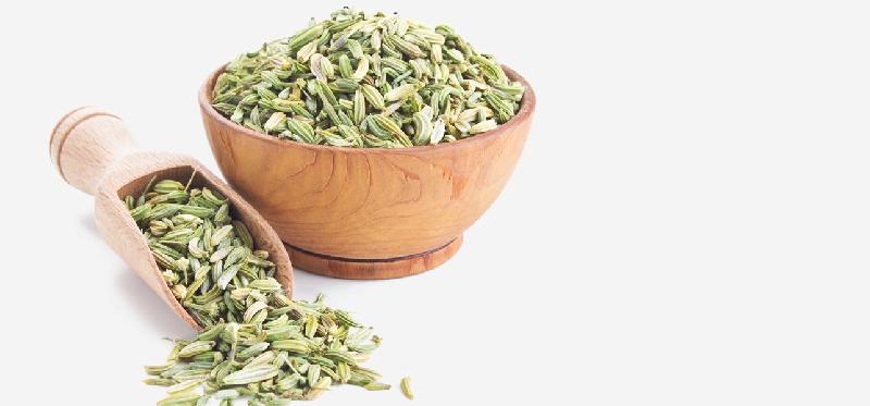 Fennel Seeds 02