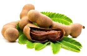 Tamarind Pods 01