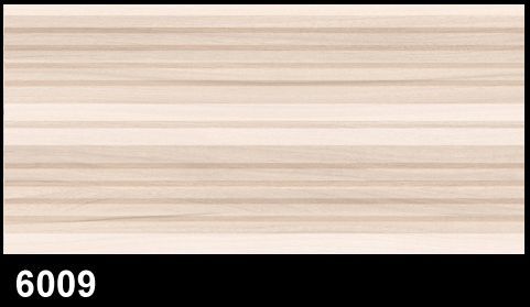 6009 300X600mm Silk Matt Series Digital Ceramic Wall Tiles