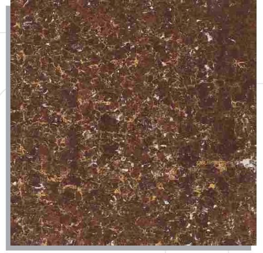 Coco Brown Designer Porcelain Floor Tiles